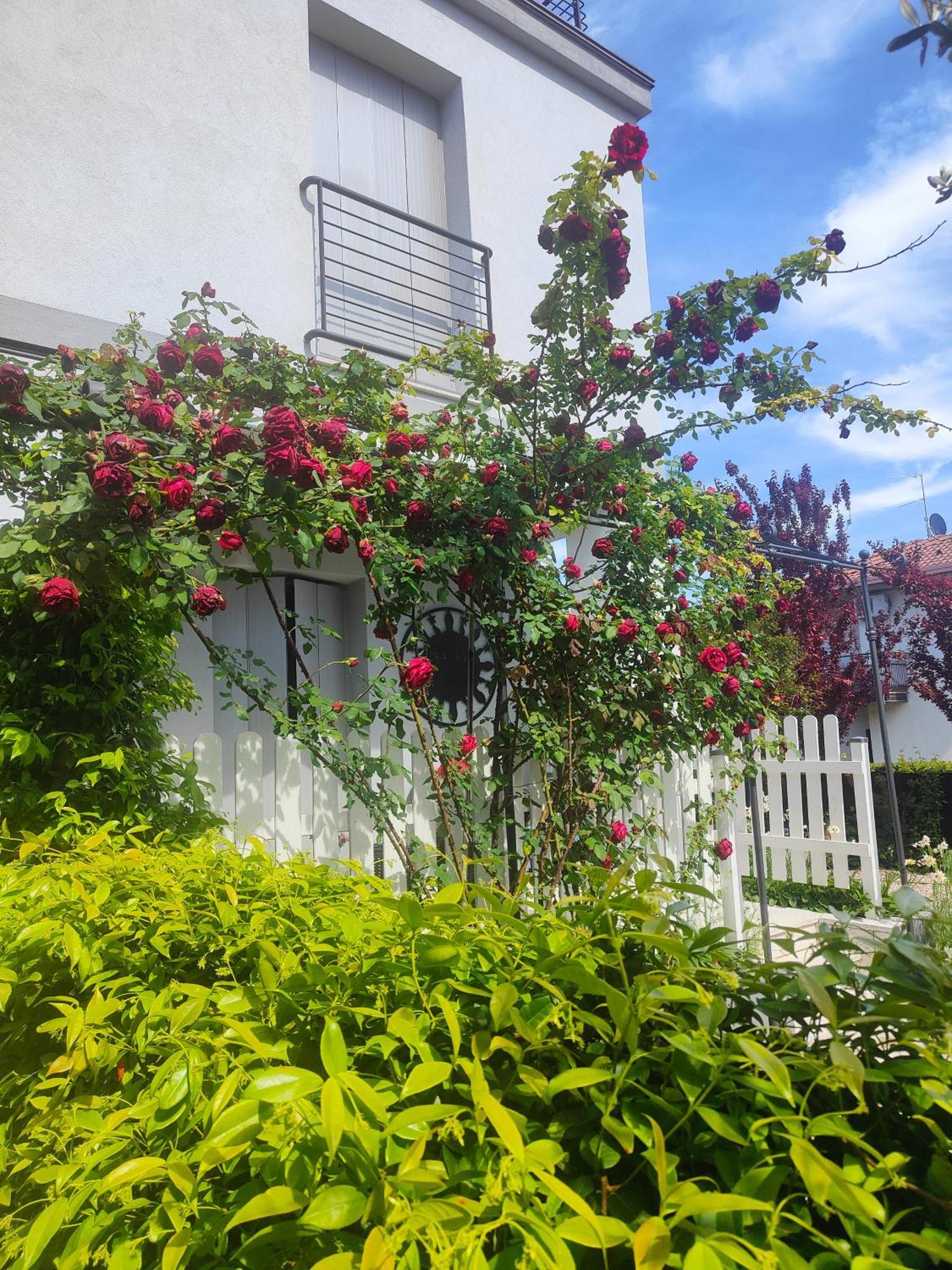 Villa Marianna Garda Lake Пескьера-дель-Гарда Экстерьер фото
